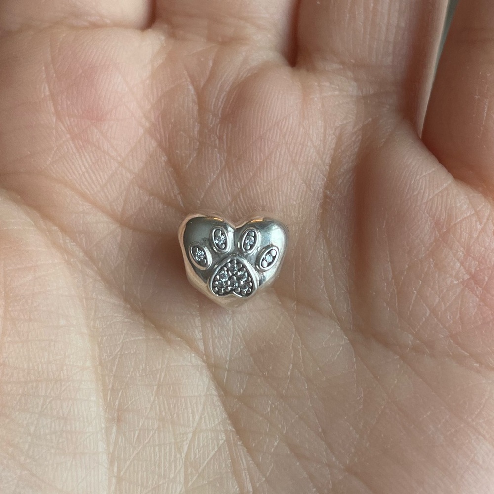Pandora pet charm!
